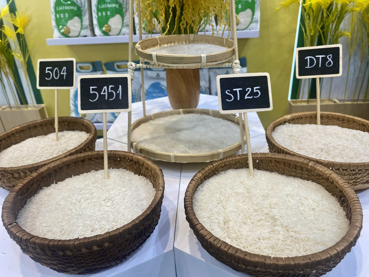 Bộ Nông nghiệp và Phát triển nông thôn khẳng định thông tin gạo ST24, ST25 được hưởng ưu đãi thuế 0% khi xuất khẩu sang thị trường EU là không chính xác - Ảnh: TRƯỜNG TRUNG