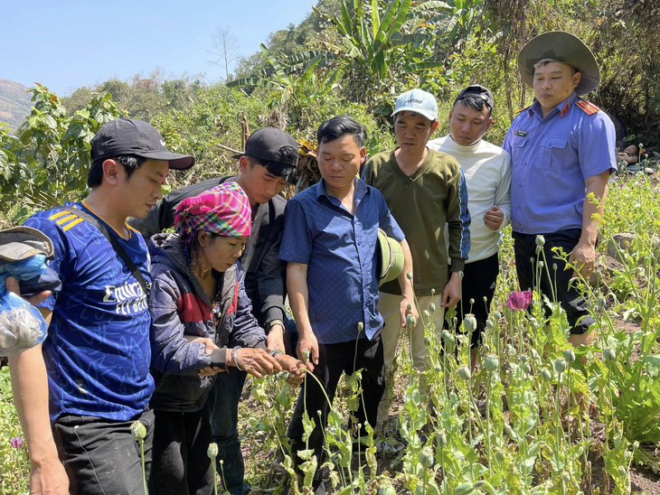 Lỳ Khừ Nu (thứ 2 từ trái qua) bị bắt quả tang khi đang khai thác nhựa cây thuốc phiện - Ảnh: Công an tỉnh Lai Châu