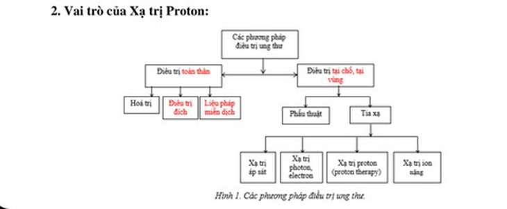 Vai trò của xạ trị proton - đồ họa do ông Nguyễn Tri Thức cung cấp