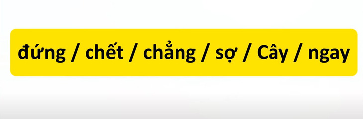 Thử tài tiếng Việt: Sắp xếp các từ sau thành câu có nghĩa (P26)- Ảnh 3.