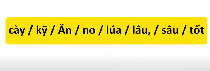 Thử tài tiếng Việt: Sắp xếp các từ sau thành câu có nghĩa (P27)- Ảnh 3.