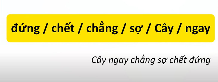 Thử tài tiếng Việt: Sắp xếp các từ sau thành câu có nghĩa (P26)- Ảnh 4.