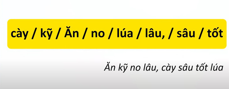 Thử tài tiếng Việt: Sắp xếp các từ sau thành câu có nghĩa (P27)- Ảnh 4.