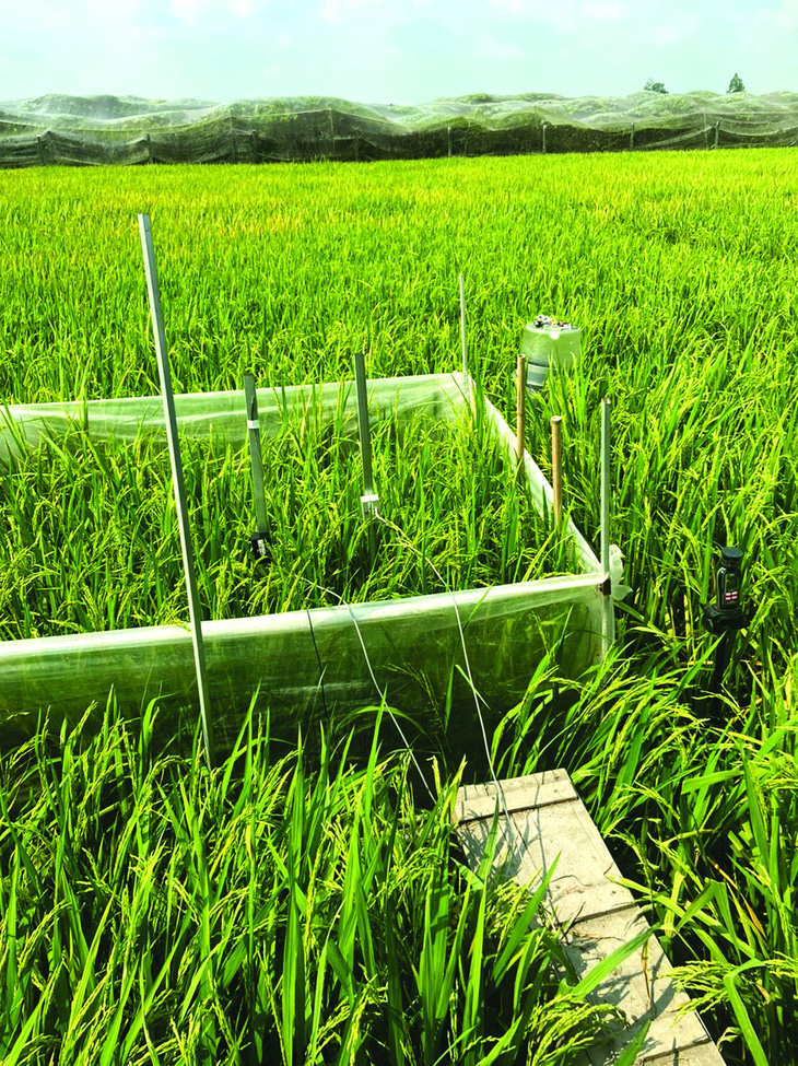 Hệ thống thiết bị đo các thông số không khí, môi trường để thu thập dữ liệu phát thải khí nhà kính tại một ruộng lúa ở Cần Thơ. Ảnh: TRẦN MINH HẢI