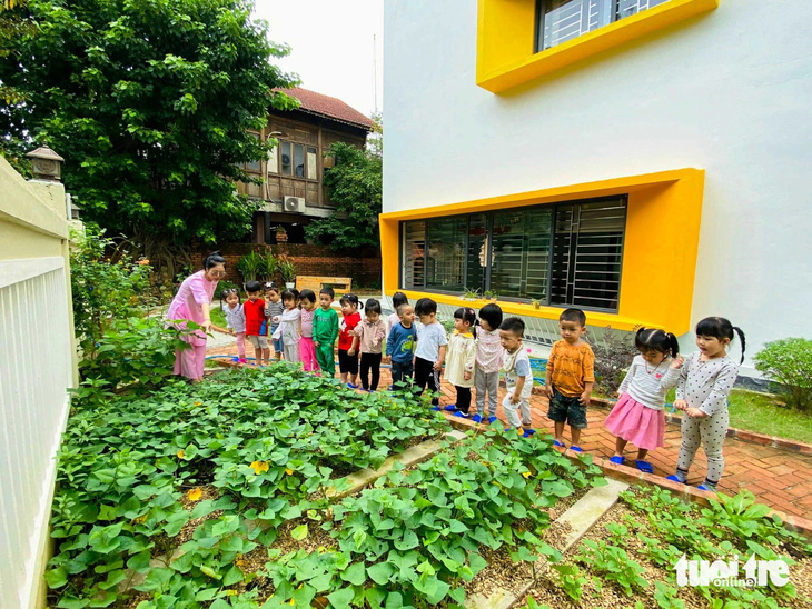 Một mảng xanh ở Trường mầm non Lâm Tỳ Ni do chính các bậc phụ huynh cùng các con, cô giáo ở trường gầy dựng - Ảnh: SC THUẦN ĐỊNH