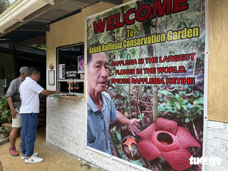 Vườn bảo tồn loài hoa Rafflesia ở Rauna, bang Sabah, Malaysia thuộc về tư nhân. Từ khi nuôi dưỡng thành công loài hoa này, vườn đón khá nhiều du khách. - Ảnh: HẢI KIM