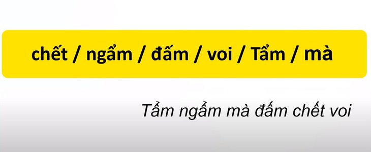 Thử tài tiếng Việt: Sắp xếp các từ sau thành câu có nghĩa (P50)- Ảnh 2.