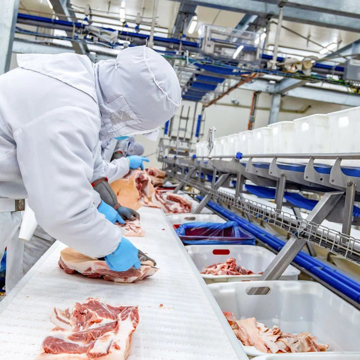 Dây chuyền sản xuất thịt ủ mát chuẩn Âu tại tổ hợp chế biến thịt MEATDeli tại Hà Nam