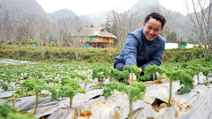 Giàng Quáng Tiên - anh bạn 9X dân tộc Mông phát triển trang trại Kale Farm có tiếng ở mảnh đất Bắc Hà (Lào Cai) - Ảnh: VŨ TUẤN