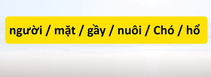 Thử tài tiếng Việt: Sắp xếp các từ sau thành câu có nghĩa (P60)- Ảnh 1.