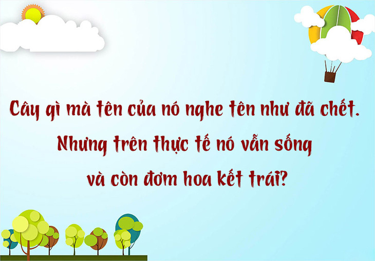 Câu đố hack não: Từ nào mà có 12 chữ 'M'?- Ảnh 5.