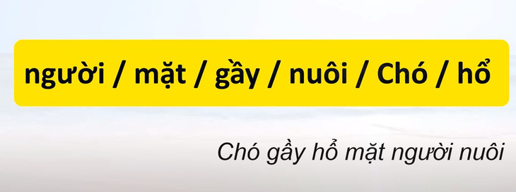 Thử tài tiếng Việt: Sắp xếp các từ sau thành câu có nghĩa (P60)- Ảnh 2.