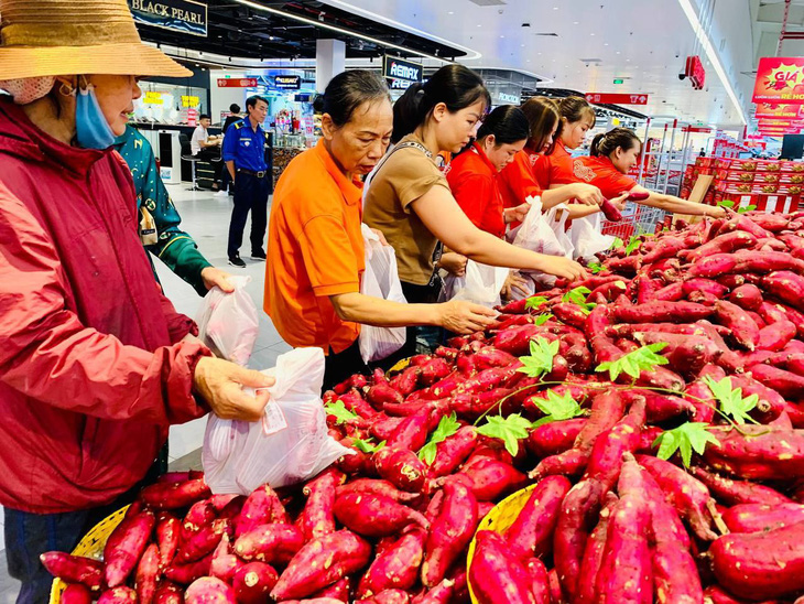 Khoai lang của nông dân Gia Lai được người tiêu dùng chọn mua tại hệ thống siêu thị của Central Retail Việt Nam - Ảnh: C.R.V 