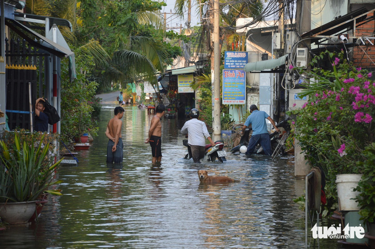 Nhà dân ở khu phố 2, phường 10, TP Mỹ Tho bị nước ngập do triều cường - Ảnh: HOÀI THƯƠNG