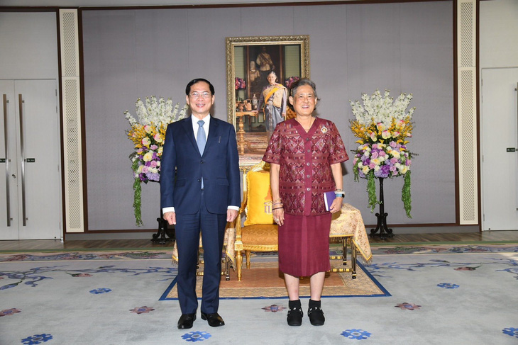 Bộ trưởng Bùi Thanh Sơn tiếp kiến Công chúa Thái Lan Maha Chakri Sirindhorn - Ảnh: BỘ NGOẠI GIAO
