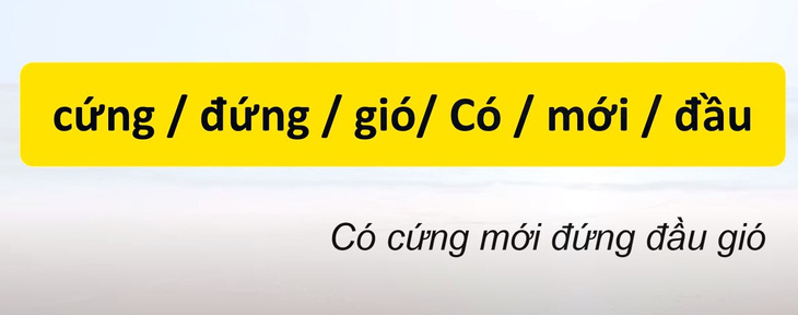 Thử tài tiếng Việt: Sắp xếp các từ sau thành câu có nghĩa (P61)- Ảnh 4.