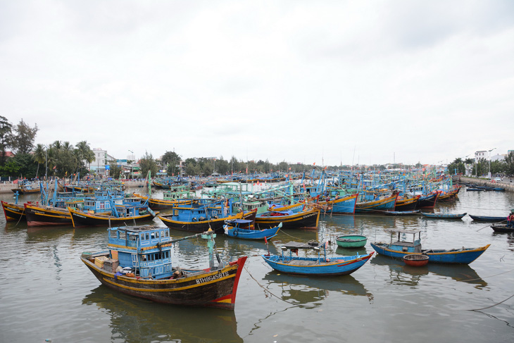 Sông Cà Ty ở Phan Thiết, Bình Thuận - nơi ông Huỳnh Phú Tân ở tỉnh Bạc Liệu có đơn xin khai thác 3 tấn vàng - Ảnh: ĐỨC TRONG