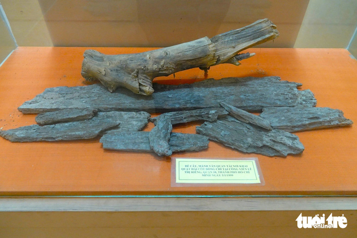 Một số mảnh quách và rễ cây khi khai quật hài cốt của cố Tổng bí thư tại công viên Lê Thị Riêng (quận 10, TP.HCM vào tháng 1-1999) được lưu giữ tại khu lưu niệm - Ảnh: LÊ MINH