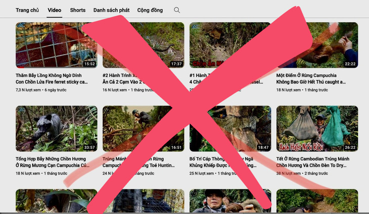 Hàng loạt kênh YouTube đăng video clip săn bắt, chế biến, ăn động vật hoang dã bị dư luận phản ứng - Ảnh chụp màn hình