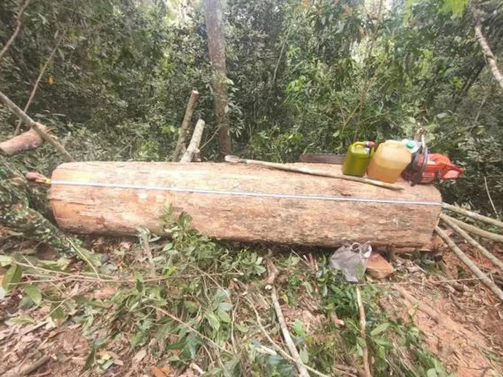 Một khúc gỗ và tang vật vụ việc tại hiện trường - Ảnh: Bộ đội biên phòng tỉnh Thanh Hóa cung cấp