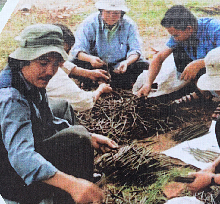 Những bàn tay thanh niên xung phong (thế hệ đầu tiên) ươm mầm xanh cho rừng ngập mặn Cần Giờ - Ảnh tư liệu