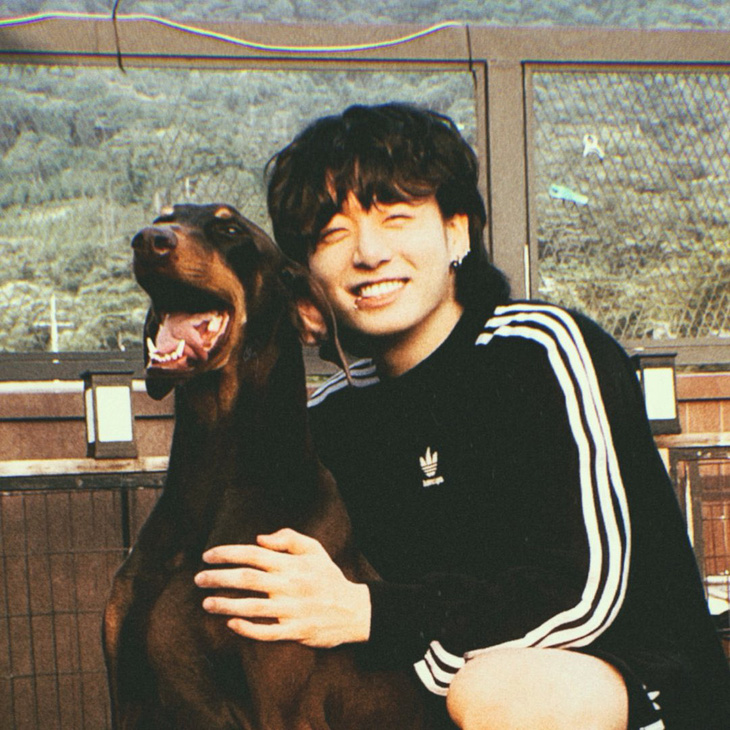 Jungkook và chú chó Bam - Ảnh: bowwow_bam