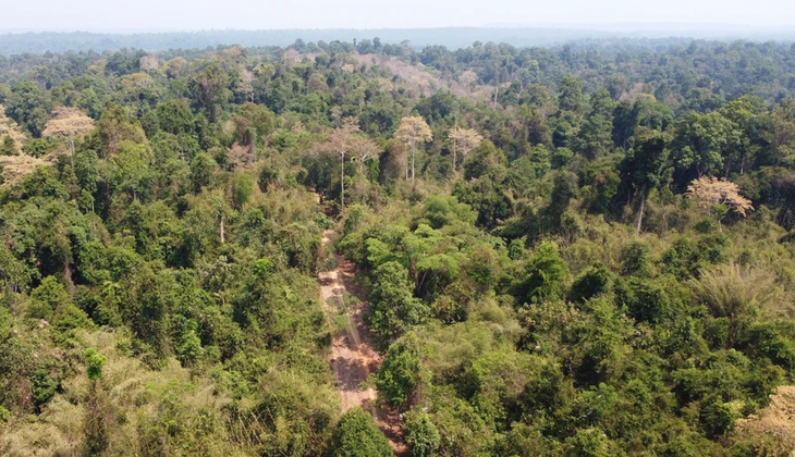 Cánh rừng Mã Đà, nơi đặt các điểm tiếp nước cho động vật được Khu bảo tồn thiên nhiên văn hóa Đồng Nai triển khai để cung cấp nước và muối khoáng cho động vật rừng trong mùa khô hạn 