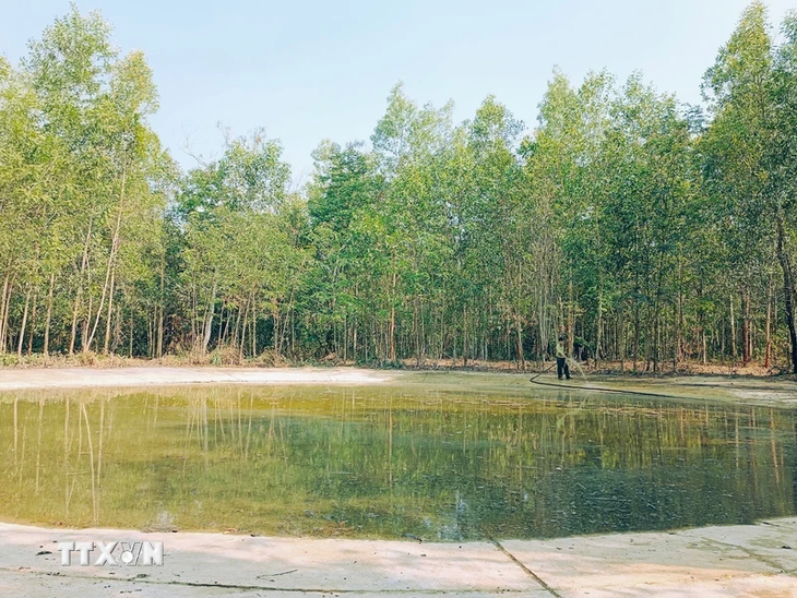 Một “chảo tiếp nước” cho voi và động vật lớn được triển khai tại khu rừng thuộc Khu bảo tồn thiên nhiên văn hóa Đồng Nai 