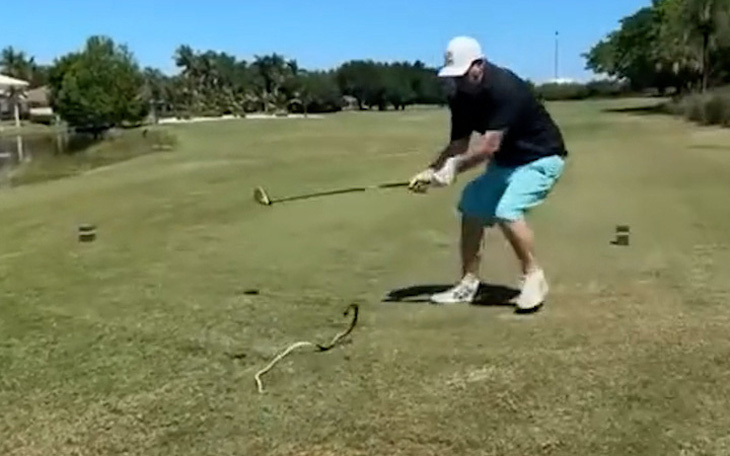 Người đàn ông chơi golf bị rắn dí chạy trối chết