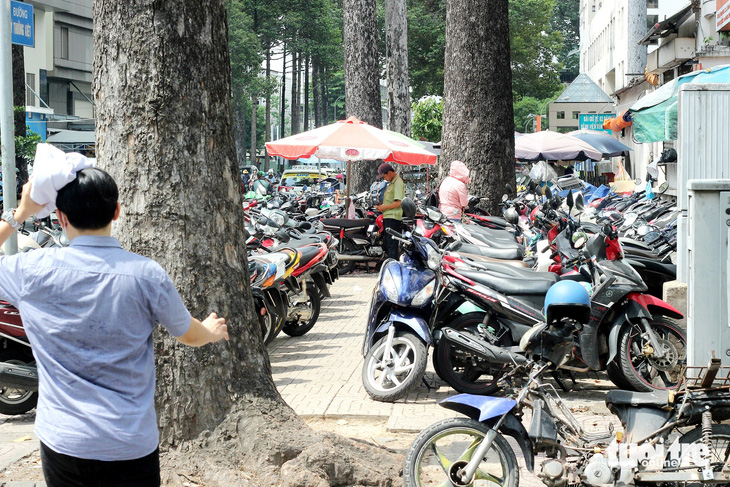 Vỉa hè trên đường Lý Thường Kiệt (quận 5, TP.HCM) bị chiếm dụng giữ xe hai bánh - Ảnh: TỰ TRUNG