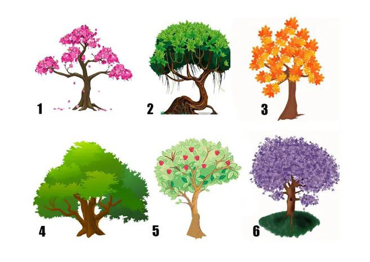 Quiz: Khám phá tính cách bí ẩn của bạn qua loại cây yêu thích- Ảnh 1.