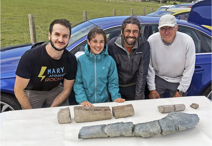Từ trái sang: Dean Lomax, Ruby Reynolds, Justin Reynolds và Paul de la Salle nghiên cứu mẫu hóa thạch của loài thằn lằn cá khổng lồ - Ảnh: Dean Lomax