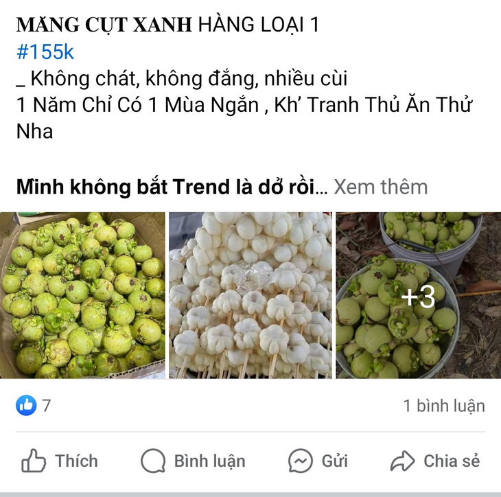 Măng cụt xanh là nguyên liệu không thể thiếu xuất hiện trong món gỏi gà “hot trend” năm ngoái đang rần rần trở lại - Ảnh chụp màn hình