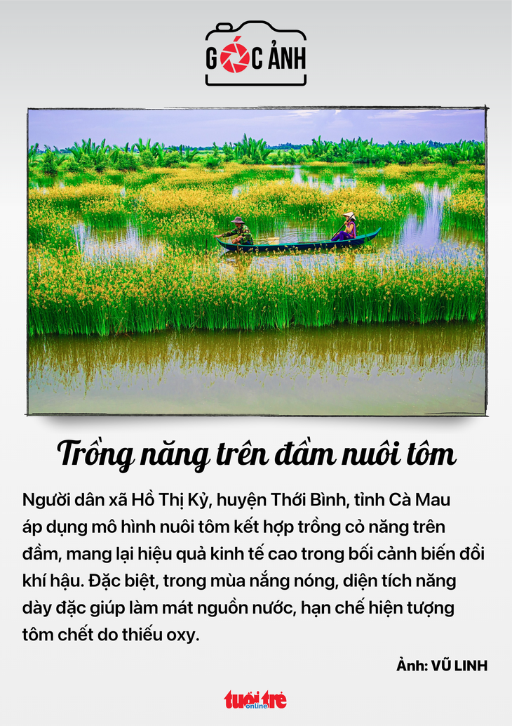 Tin tức sáng 19-4: Bình Dương nhiều thành phố nhất nước; Hai bệnh viện cứu mẹ bệnh tim nặng và em bé- Ảnh 5. Tin tức sáng 19-4: Bình Dương nhiều thành phố nhất nước; Hai bệnh viện cứu mẹ bệnh tim nặng và em bé- Ảnh 5.