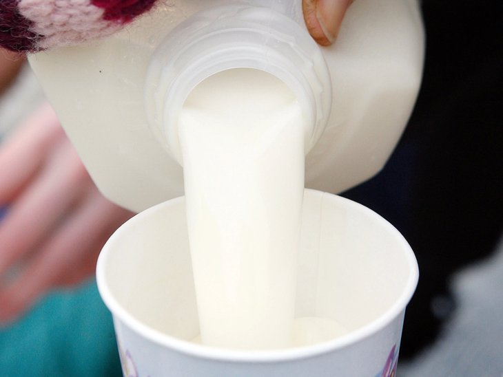 Các chuyên gia đã phát hiện nồng độ vi rút cúm gia cầm "rất cao" trong sữa nguyên liệu - Ảnh: REUTERS