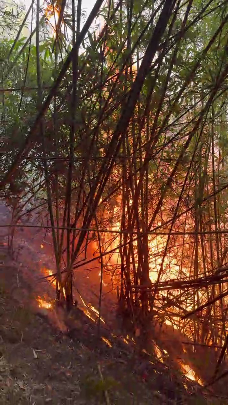 Hiện trường đám cháy rừng sáng 5-3 trên địa bàn khu phố Đoàn Kết, thị trấn Mường Lát - Ảnh Hạt kiểm lâm Mường Lát cung cấp