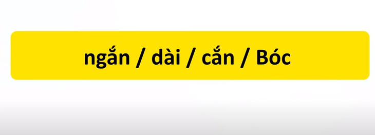 Thử tài tiếng Việt: Sắp xếp các từ sau thành câu có nghĩa (P53)- Ảnh 3.