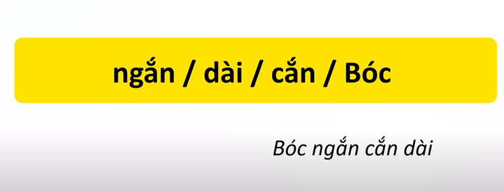 Thử tài tiếng Việt: Sắp xếp các từ sau thành câu có nghĩa (P53)- Ảnh 4.