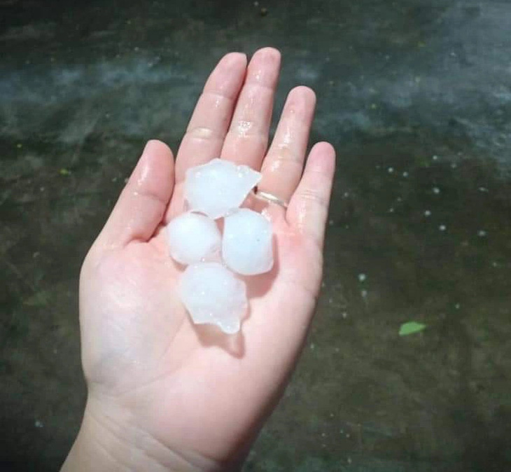 Những hạt mưa đá lớn ghi nhận trong cơn mưa to tối nay tại Hà Nội - Ảnh: Bạn đọc cung cấp