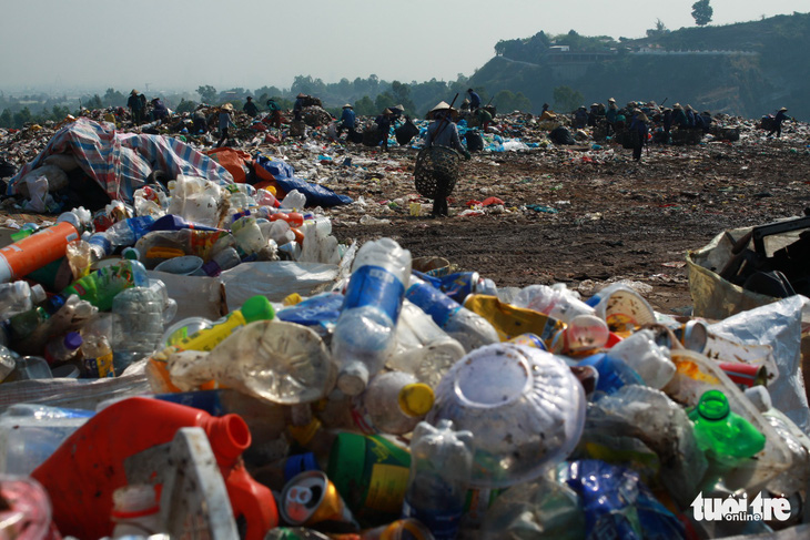 Rác thải nhựa ảnh hưởng nghiêm trọng tới môi trường - Ảnh: T.G,