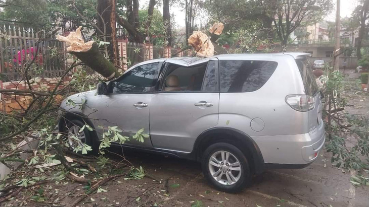 Một ô tô ở TP Sơn La bị hư hỏng do cây gãy đổ - Ảnh: THÚY HÀ