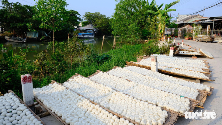 Những mẻ hủ tiếu thủ công phơi nắng sớm bên dòng sông Ngã Bát, phường 2, TP Sa Đéc, tỉnh Đồng Tháp - Ảnh: ĐẶNG TUYẾT