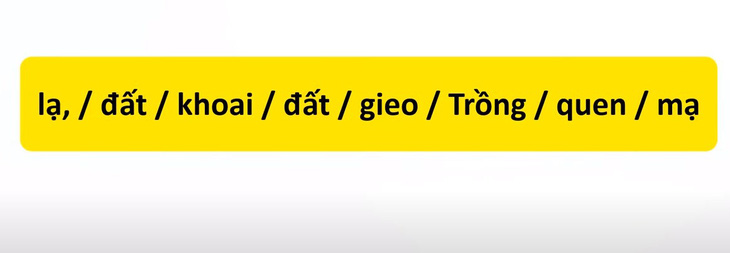 Thử tài tiếng Việt: Sắp xếp các từ sau thành câu có nghĩa (P71)- Ảnh 3.