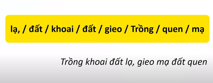 Thử tài tiếng Việt: Sắp xếp các từ sau thành câu có nghĩa (P71)- Ảnh 4.