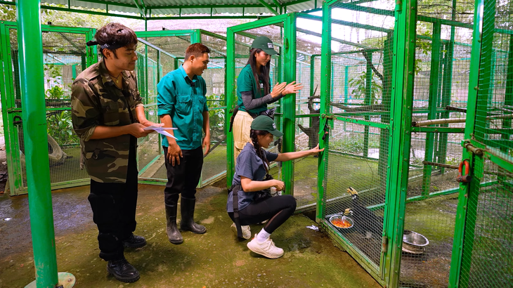 Dustin Phúc Nguyễn, H'Hen Niê, Hà Nhi cho động vật hoang dã ăn - Ảnh: BTC