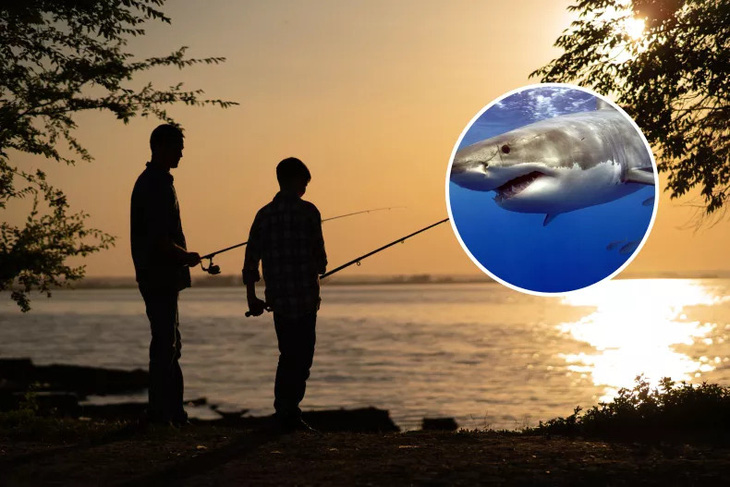 Ảnh minh họa cho thấy hai người đang câu cá và một con cá mập trắng - Ảnh: NEWSWEEK/GETTY IMAGES