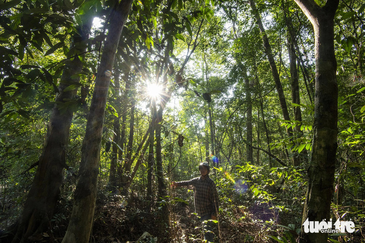 Vườn quốc gia Phú Quốc khẳng định không có việc thu tiền để đo rồi cấp đất đai - Ảnh: MINH KHANG