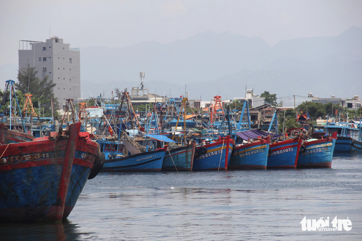 Đã có gần 29.000 tàu cá ở nước ta gắn thiết bị giám sát hành trình - Ảnh: TRƯỜNG TRUNG