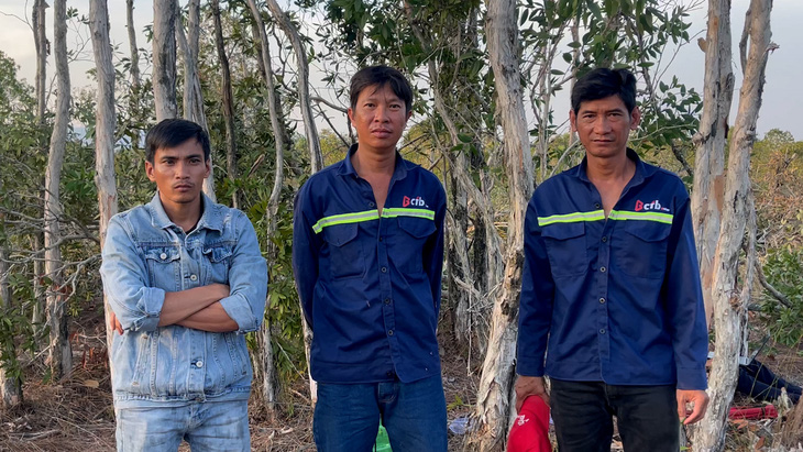 Nhóm ba người chặt phá cây rừng ở Phú Quốc - Ảnh: VĂN VŨ
