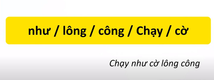 Thử tài tiếng Việt: Sắp xếp các từ sau thành câu có nghĩa (P73)- Ảnh 4.